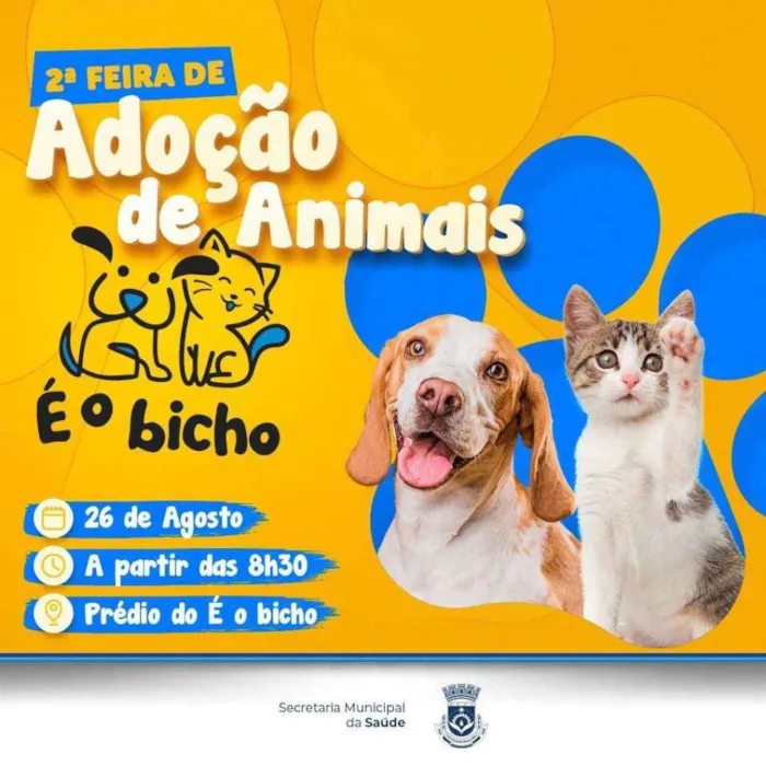 Participe da feira de adoção em Luis Eduardo Magalhães e encontre seu novo melhor amigo. Juntos, vamos oferecer um lar cheio de amor aos animais!