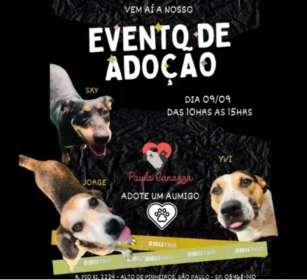 Evento de Adoção no Bairro Alto de Pinheiros - São Paulo / SP
