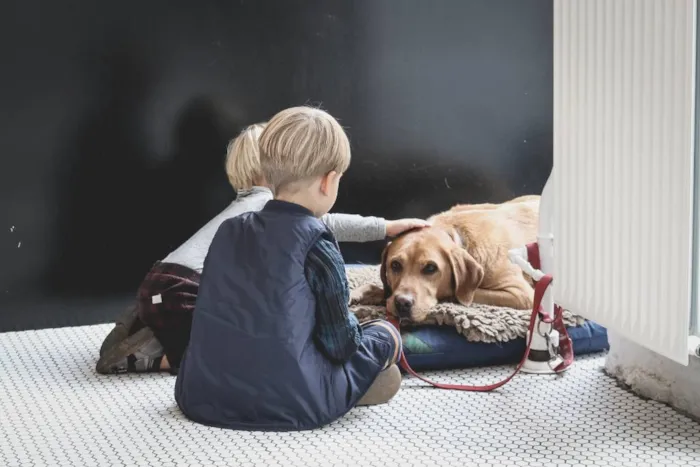 Adoção de pets: por que essa é uma tendência que veio para ficar?
