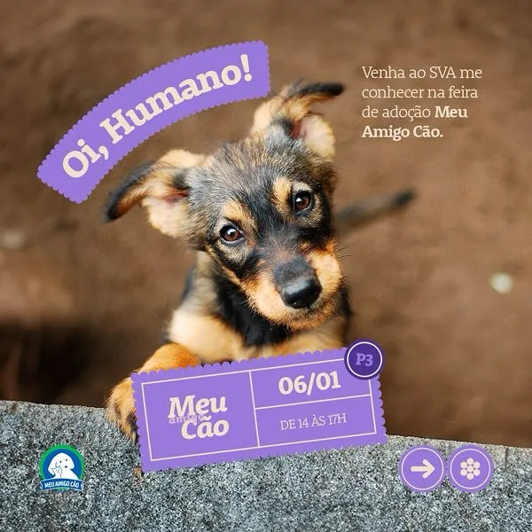 Encontre seu novo melhor amigo na feira de adoção Meu Amigo Cão em Ipatinga. Venha e faça a diferença na vida de um animal!
