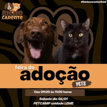 ???? **Evento de Adoção – Um Novo Amigo Espera Por Você em Leme!** ????

?? **Marque na Agenda: 06 de Janeiro, 2024**  
?? **Horário: das 9h às 11h**  
?? **Local: PETCAMP unidade Leme**

Venha começar o ano fazendo uma boa ação e encontrando um nov