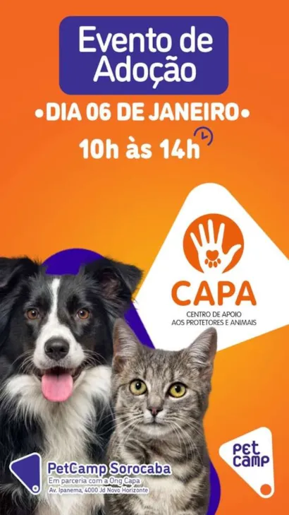 Venha começar o ano com um ato de amor e solidariedade! O PetCamp Sorocaba, em parceria com a ONG CAPA, tem o prazer de convidar você para o nosso Evento de Adoção de Animais. 

?? EVENTO DE ADOÇÃO DE ANIMAIS ??

Estamos ansiosos para ver você lá no d