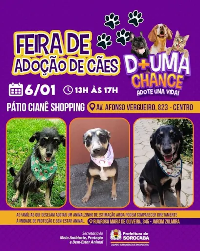 Atenção, Sorocaba e região! Preparem seus corações, porque no dia 6 de janeiro de 2024 teremos um evento especial que promete ser puro amor.

???? **FEIRA DE ADOÇÃO DE CÃES - DÊ UMA CHANCE!** ????

Esta é sua oportunidade de conhecer e levar um novo a