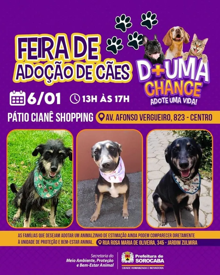 Atenção Sorocaba e região! No dia 6 de janeiro de 2024, participe da Feira de Adoção de Cães e encontre seu novo melhor amigo. Dê uma chance!