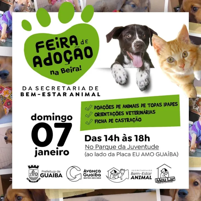 Atraia o seu novo melhor amigo na Feira de Adoção na Beira, em Guaíba! Junte-se a nós e transforme vidas no evento da Secretaria de Bem-Estar Animal.