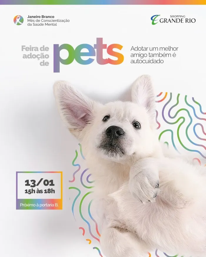 Encontre seu novo melhor amigo na Feira de Adoção de Pets no Rio de Janeiro, dia 13 de janeiro de 2024, das 15h às 18h, perto da portaria B do Shopping Grande Rio.