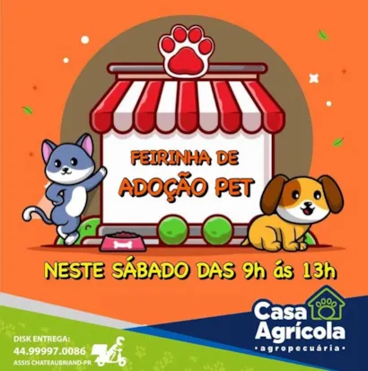 Venha encontrar seu novo melhor amigo na Feirinha de Adoção Pet em Assis Chateaubriand! ????

Prepare-se para abrir seu coração e sua casa para um pet que está ansioso para fazer parte da sua família. No próximo sábado, dia 13 de janeiro de 2024, das 09