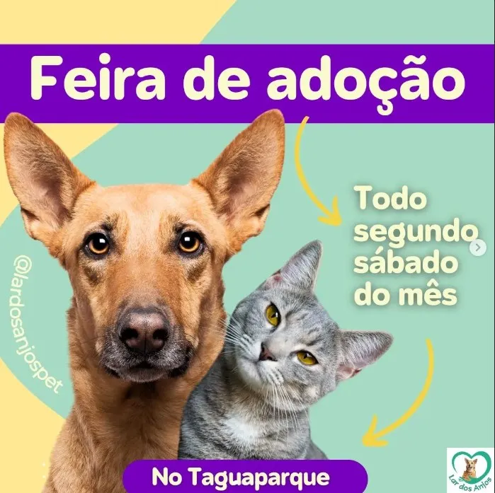 Encontre seu novo melhor amigo na Feira de Adoção em Brasília! Dia 13 de janeiro de 2024, no Taguaparque. Não perca essa oportunidade!