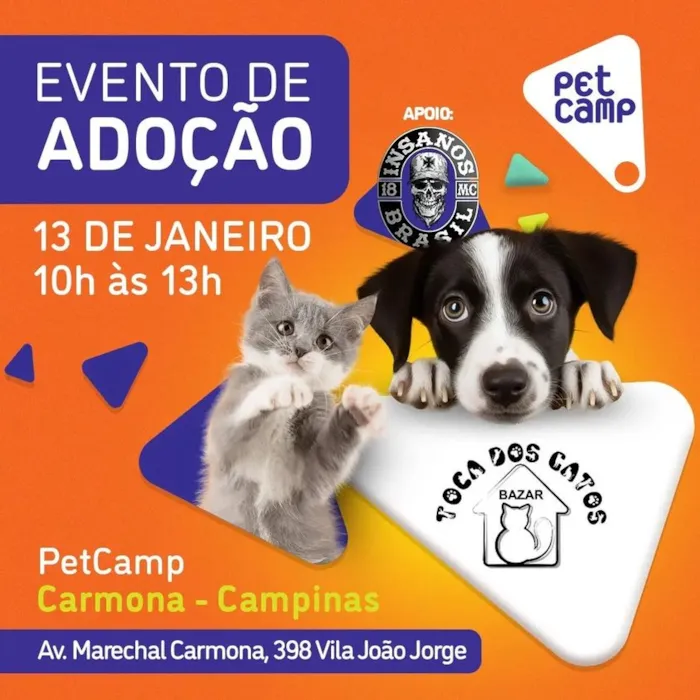 Participe da feira de adoção no dia 13 de janeiro, das 10h às 13h, na PetCamp, Av. Marechal Carmona, 398, Campinas. Dê uma nova chance a um amigo!