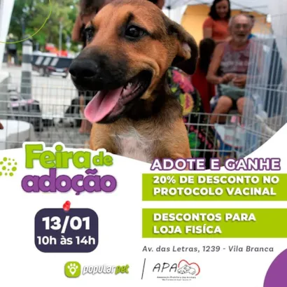 Venha encontrar um novo amigo de quatro patas e oferecer muito amor e um lar feliz! ??

?? **Feirinha de Adoção em Jacareí** ??

Quer aumentar a família com um pet cheio de amor para dar? Não perca nossa Feirinha de Adoção em Jacareí, num evento espec