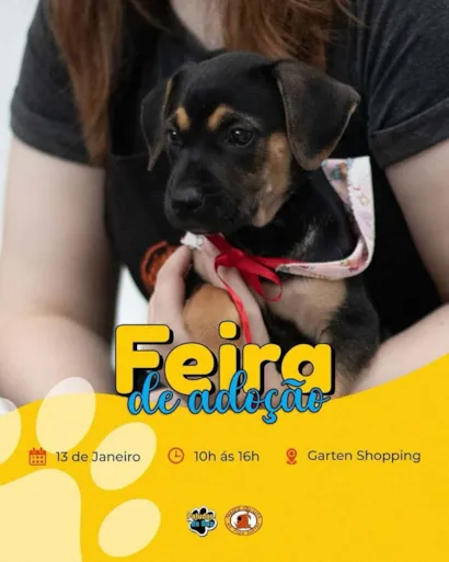 Atenção, amantes de animais de Joinville! ??

Estão todos convidados para a emocionante e afetuosa "Feira de Adoção" que irá transformar vidas – tanto de quatro patas quanto de duas! Marquem em seus calendários:

?? Data: 13 de Janeiro de 2024
? Horá