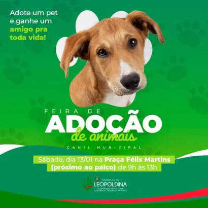 Venha encontrar seu novo melhor amigo na Feira de Adoção de Animais de Leopoldina! ????

O evento promete ser um dia especial para aqueles que buscam acrescentar um pouco mais de amor e alegria a sua vida com a adoção de um pet. Não perca esta chance de