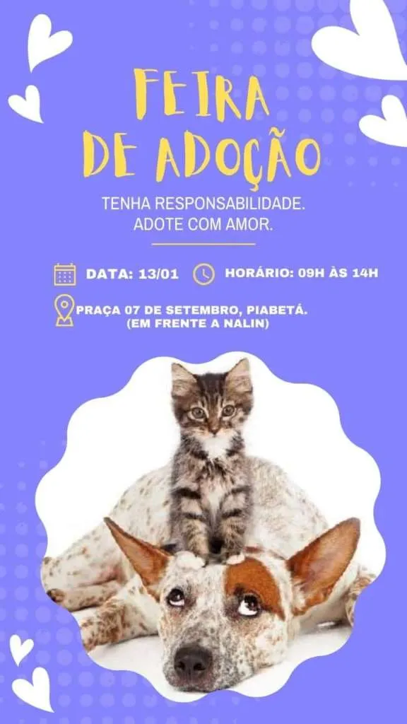 Participe da Grande Feira de Adoção em Magé - RJ e encontre seu novo melhor amigo. Venha e faça a diferença na vida de um animal!