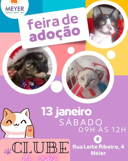 Venha encontrar seu novo amigo de quatro patas no evento de adoção mais amoroso do Rio de Janeiro! ????

?? Feira de Adoção no Meyer Petshop! ??

No coração do Méier, a oportunidade perfeita para abrir seu coração e seu lar para um companheiro que est