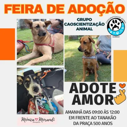 Venha encher seu coração de alegria e amor na Feira de Adoção do Grupo Conscientização Animal em Valinhos! ????

Estamos trazendo uma oportunidade única para você começar o ano com um novo amigo peludo. Prepare-se para encontrar cães cheios de amor para