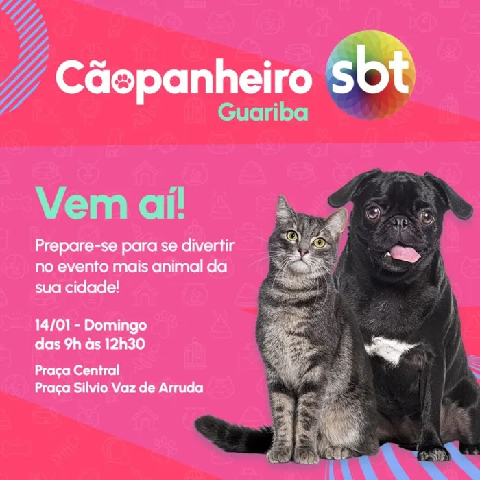Participe da feira de adoção Cãopanheiro SBT Guariba! 14 de janeiro de 2024, das 9h às 12h30, na Praça Central. A chance de mudar vidas!