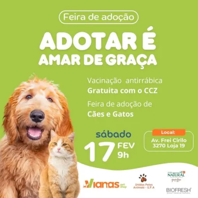 Adote um Amigo Peludo e Espalhe o Amor - Feira de Adoção em Fortaleza