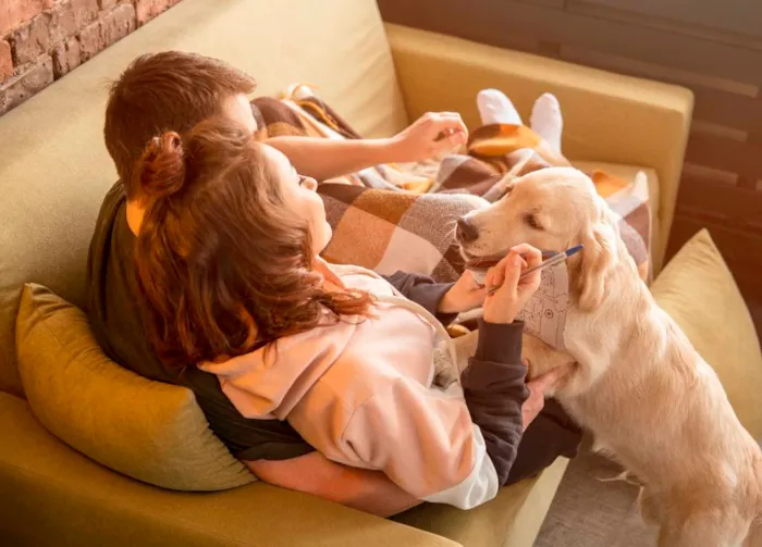 Por que os brasileiros estão adotando mais pets e os tratando como filhos?