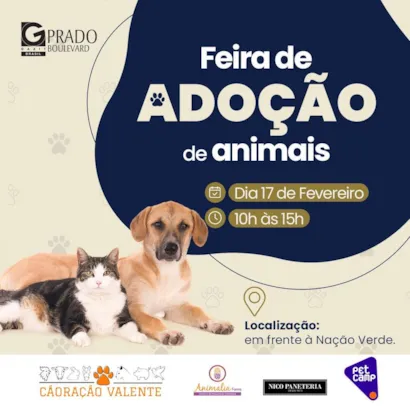 Encontre Seu Novo Amigo: Grande Feira de Adoção em Campinas