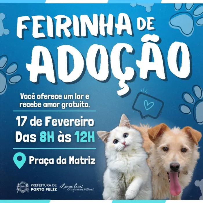 Feirinha de Adoção em Porto Feliz: Encontre seu novo amigo!