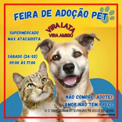 Feira de Adoção de Animais: Encontre seu Novo Amigo em Rolândia!