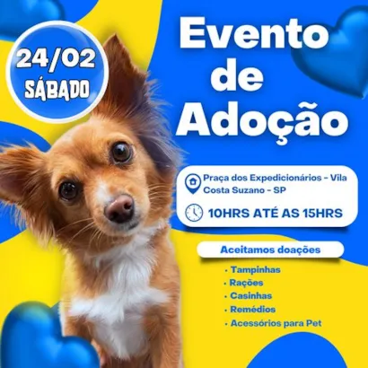 Amor em Quatro Patas: Adote um Amigo em São Paulo!