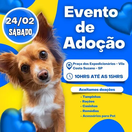 Amor em Quatro Patas: Adote um Amigo em São Paulo!