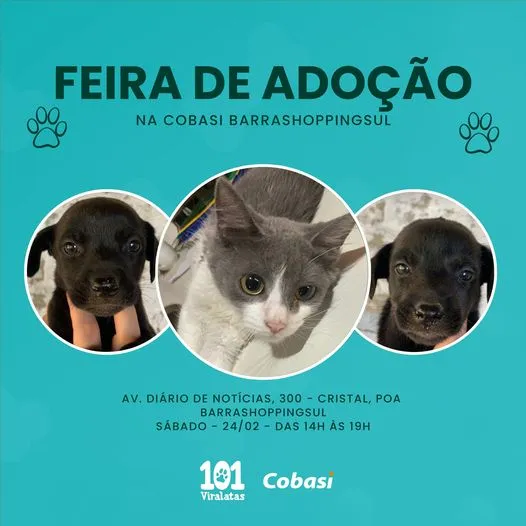 Adote Um Amigo para Toda Vida na Feira de Adoção em Porto Alegre