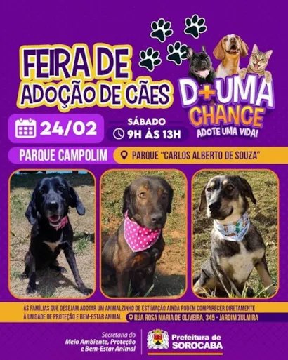 Feirade Adoção de Cães em Sorocaba: Encontre seu Melhor Amigo!