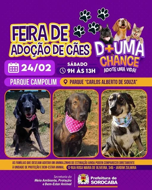 Feirade Adoção de Cães em Sorocaba: Encontre seu Melhor Amigo!