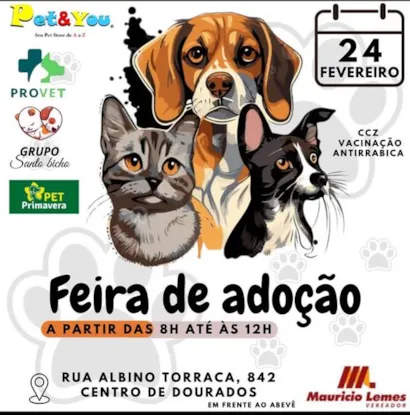 Encontre Seu Melhor Amigo na Feira de Adoção de Dourados!