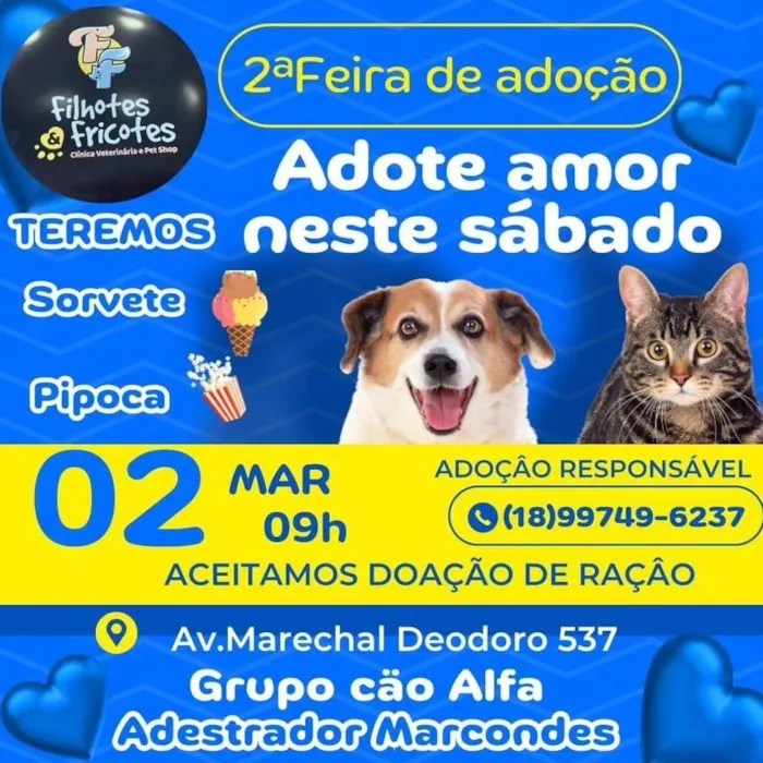 Feira de Adoção Filhotes & Fricotes: Encontre seu Novo Amigo!