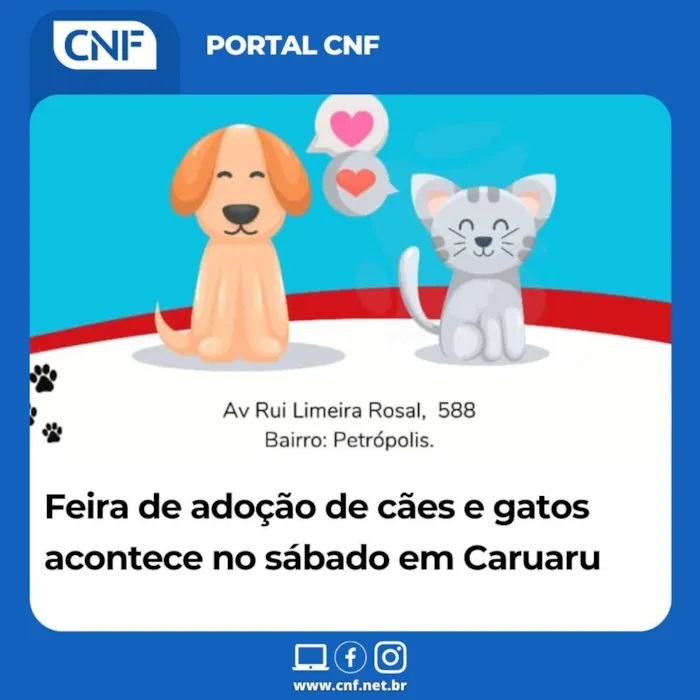 Encontre seu novo amigo: Grande Feira de Adoção Animal em Caruaru!