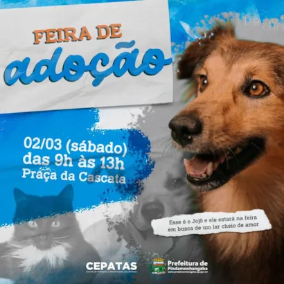 Feira de Adoção em Pinda: Encontre seu Novo Amigo de Quatro Patas!