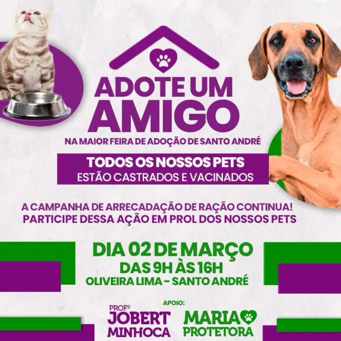 Adote um Companheiro Peludo em Santo André!