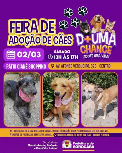 Feira de Adoção de Cães em Sorocaba: Dê Uma Chance a um Amigo!