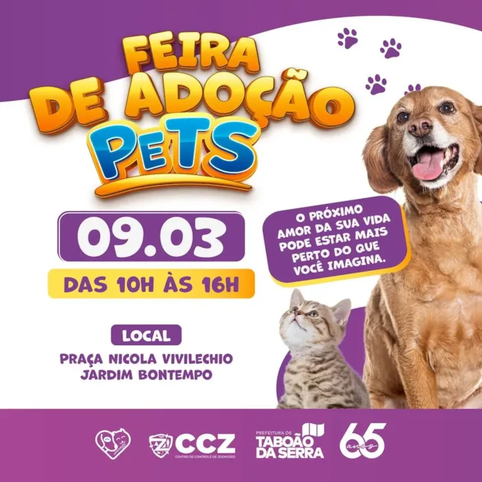Feira de Adoção de Pets em Taboão da Serra: Encontre seu Novo Amigo!