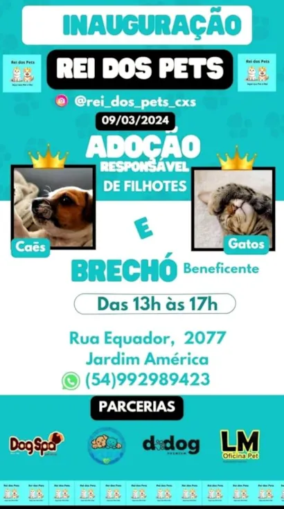 Feira de Adoção e Inauguração da Rei dos Pets em Caxias!