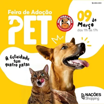 Feira de Adoção PET em Criciúma: A felicidade tem quatro patas!
