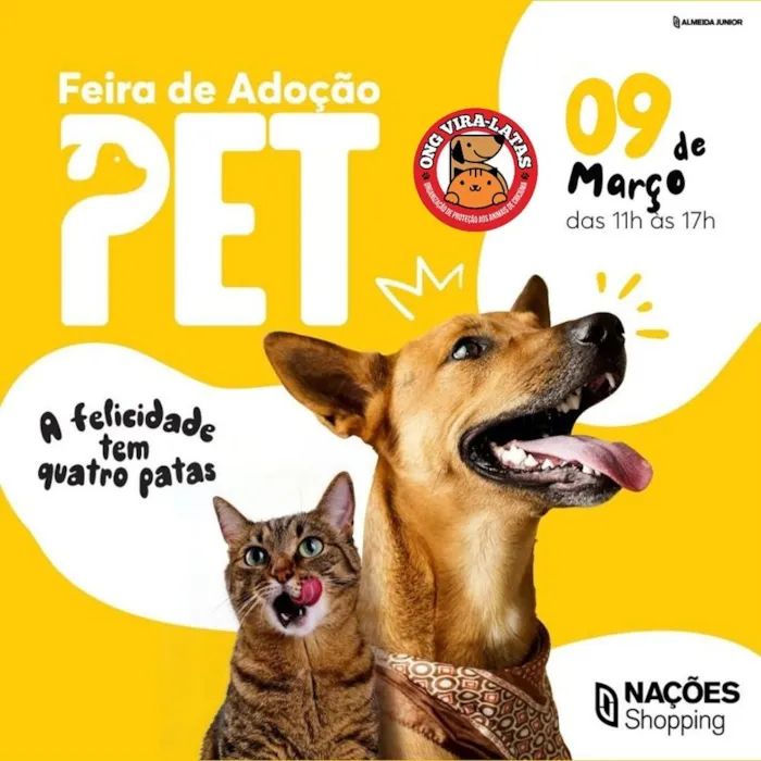 Feira de Adoção PET em Criciúma: A felicidade tem quatro patas!