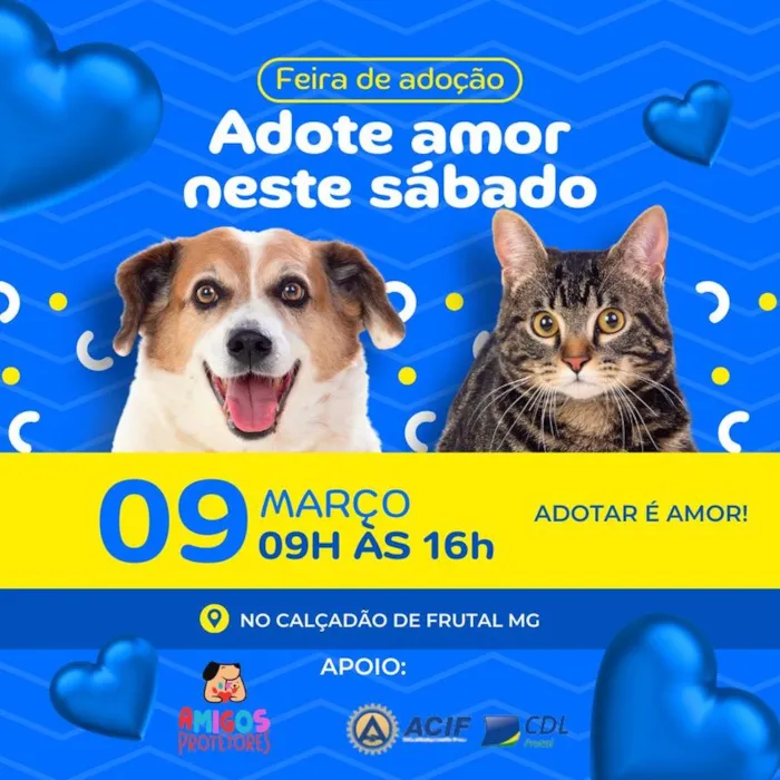 Adote Amor e Alegria na Feira de Adoção Animal de Frutal!