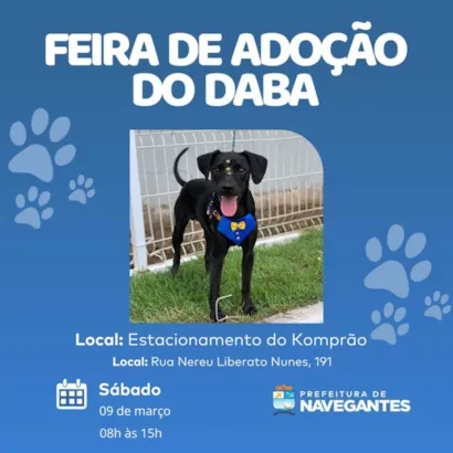 Encontre seu Novo Melhor Amigo na Feira de Adoção do DABA!