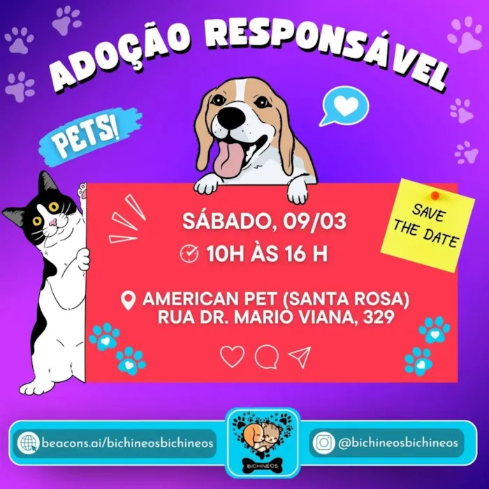 Feira de Adoção de Pets: Encontre seu Novo Melhor Amigo em Niterói!