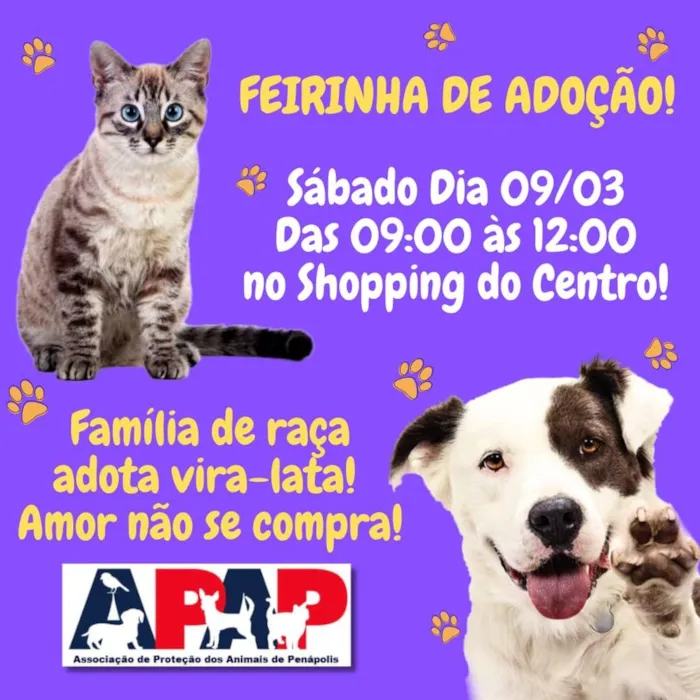 Feirinha de Adoção de Animais em Penápolis: Encontre seu Novo Amigo!