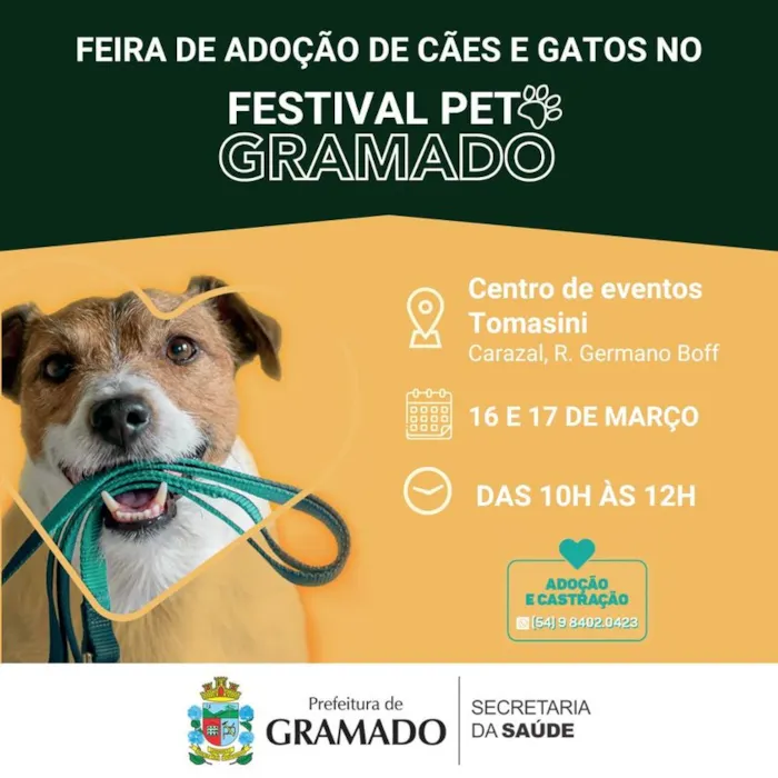 Festival Pet Gramado: Adote um Novo Melhor Amigo!