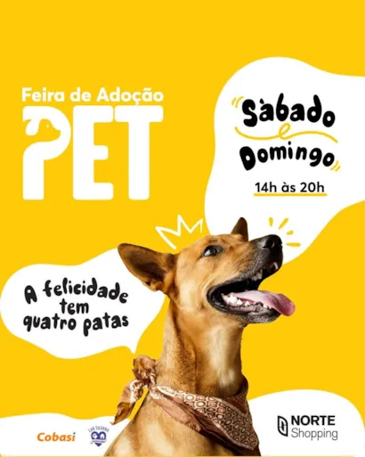 Encontre o Seu Melhor Amigo na Feira de Adoção Pet RJ!