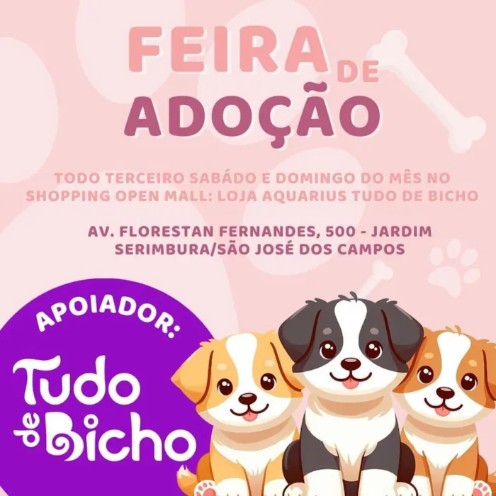 Feira de Adoção em São Paulo: Encontre seu Novo Melhor Amigo!