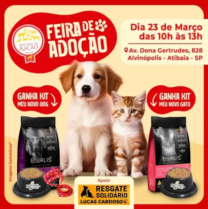 Feira de Adoção em Atibaia: Encontre seu novo melhor amigo!