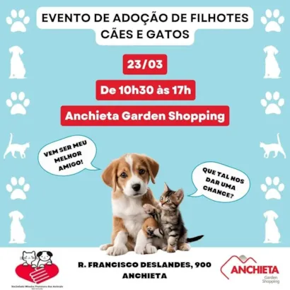 Feira de Adoção de Animais: Encontre Seu Novo Melhor Amigo!