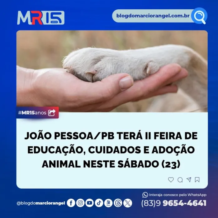 Encontre Seu Novo Melhor Amigo na Feira de Adoção de João Pessoa!